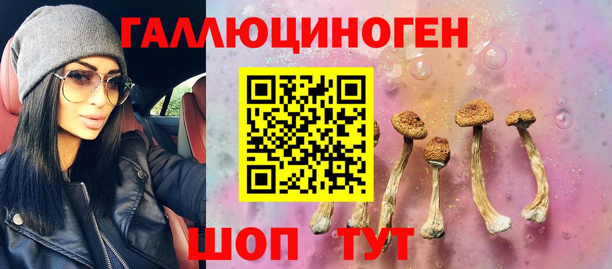 Галлюциногенные грибы GOLDEN TEACHER  Вход с VPN  Шебекино 