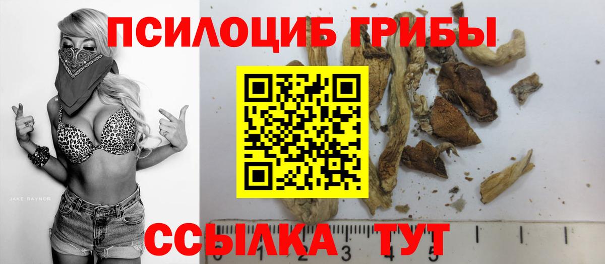 Псилоцибиновые грибы GOLDEN TEACHER Шебекино